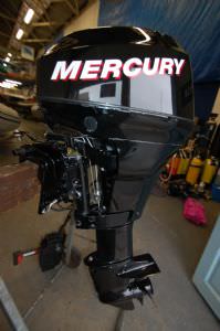 Mercury F15EL